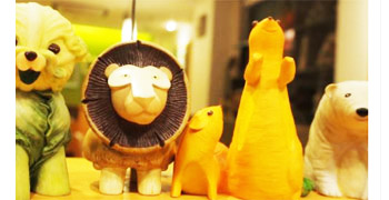 サラヤ株式会社 求人