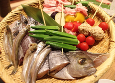 さかな料理　ろっこん／10月心斎橋新店プロジェクト 求人 