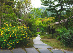 有馬山叢　御所別墅 求人 