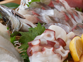 旬魚旬菜 びんびや 江坂 求人