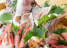 旬魚旬菜 びんびや 江坂 求人 