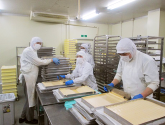 有限会社ロカ・エンタープライズ 求人