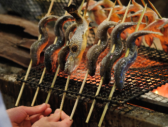 魚・日本料理・炉端 マスカクラブ 求人情報