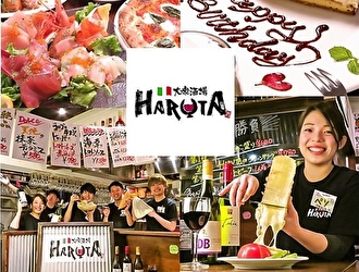 イタリアン酒場 HARUTA 高田馬場本店 【株式会社グリーンコーポレーション】 求人情報