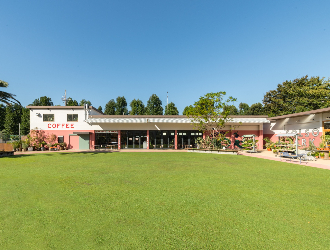 Little Darling Coffee Roasters