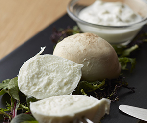 OBICA MOZZARELLA BAR　高輪店