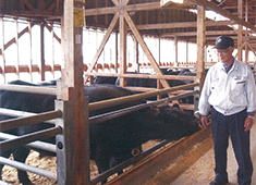 「肉卸小島」／株式会社　小島食品 求人 生産者の方々が、愛情込めて育てた思いを受け継ぎ、最高の料理を提供していきましょう！