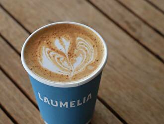 LAUMELIA（ラウメリア）／株式会社シュテルン品川 求人