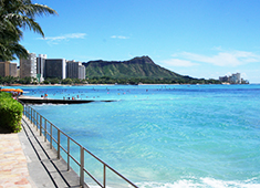 株式会社RCP（Respectable Concept Planning）／赤から,etc 求人 コロナ前は社員研修では、ハワイを始め、海外へ行くこともありました。コロナ終息後は、海外研修も復活予定です！