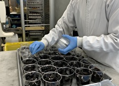 「スイーツ部門」／株式会社 成城石井 求人 パティシエ経験ある方優遇します。腰を据えて働きたい方、大歓迎です
