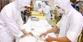 BURDIGARA（ブルディガラ）／株式会社トリコロール 求人