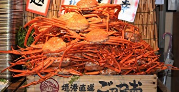 株式会社ヤマダフードシステムズ　※新規ブランド出店準備室 求人
