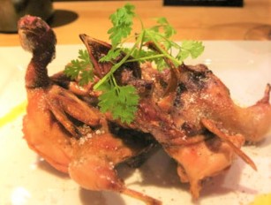 「Dining ROCO」「小料理 九曜紋」「MARC」「VIVIANA」／K.C.C. 株式会社 求人