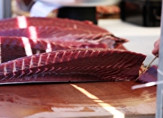 鮨 地魚 あら井 求人 他では扱えない鮮度の食材に触れる事も可能。個人店の様な魅力も多数！