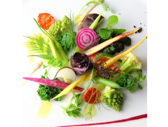 株式会社ノースコーポレーション 求人