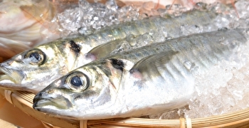 「鮮魚部門」／株式会社 成城石井 求人