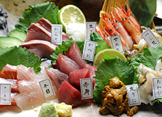 魚三四味家（おさしみや） 西新宿店／株式会社あさの 求人 料理はもちろん、盛り付けにもこだわっています！
