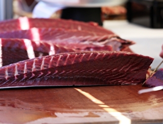 すし台所家／DAIDOKOYA Ltd. 求人