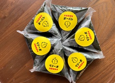 肉野菜炒めベジー太(株式会社カンパニオ) 求人 
