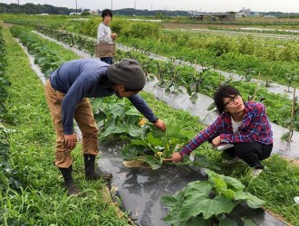 ワイン食堂パパン／株式会社飴やダイニング 求人 複数の契約農家から美味しい有機野菜を仕入れています。安心安全の信頼できる食材を使用しています。