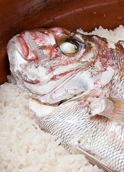 魚匠　銀平（株式会社 湯川） 求人