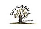 CUCCAGNA（クッカーニャ） 求人情報