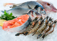 門仲晃一（もんなかこういち） 求人 魚料理が得意な方は是非、あなたの提案する美味しい料理でお客様を魅了してください！