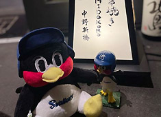 炭火串焼き 鶏料理 富所 求人 東京ヤクルトスワローズ愛が止まらない店主。つば九郎が店を見守っています。※もちろんヤクルトファンじゃなくても歓迎！
