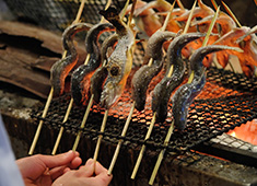 「魚料理屋」「看板のない和食ラウンジ」プロジェクト採用室/株式会社TPD 求人 各店舗の距離が近いため。自店のスタッフだけでなく多くのスタッフとの交流があります。