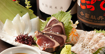 株式会社JPパワー/どればー高知・魚・食・笑 ちょうど・J-SHOT 求人