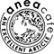 anea cafe（アネアカフェ）／株式会社 anea 求人情報