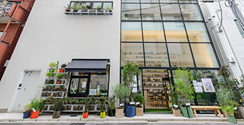 カフェ新店舗/Hama House（グットモーニングス株式会社） 求人