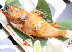 和食 伊豆の旬 やんも 求人 これから和食を学びたい方も大歓迎！
包丁の使い方、ダシの取り方、仕込みや調理法、盛り付け等イチから丁寧に教えます
