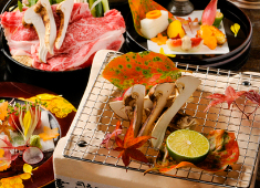 株式会社ミムロ/舞桜 求人 料理だけではなく、サービスだけでもない。店の運営そのものが学べる環境です。料理のアイデアはカタチになります。