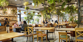 FARMER'S KITCHEN／株式会社ユニバーサル園芸社 求人