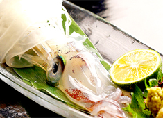 めっちゃ魚が好き株式会社 求人 