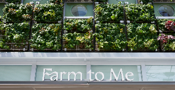 Farm To Me Sugar Factory ／ 株式会社ナピネス（大東製糖グループ） 求人