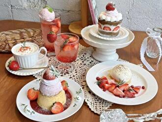 coffee ＆ crepe stand BKK／株式会社toynobox 求人
