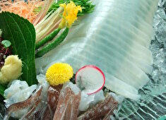 大衆酒場 金星 2号店／大衆酒場 金星 1号店／海山（逗子）寿司と和食 求人 漁港から直送の鮮魚、旬野菜や鎌倉野菜を使ったこだわりの料理を提供しています！