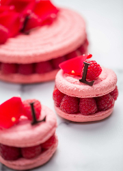 MACAROON JAPAN 株式会社 求人