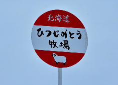 株式会社 Miso Soup 求人 当社の為だけの羊を育ててくれている農場もあります！肉へのこだわりは育てるところから始まっています！！