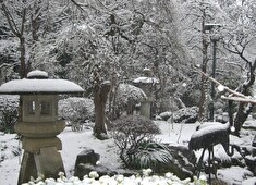 四季の懐石　桜茶屋/有限会社　桜茶屋 求人 四季折々の風情を楽しめる庭園★