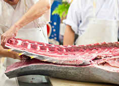 「青果部門」「精肉部門」「鮮魚部門」／株式会社 成城石井 求人 美味しい笑顔あふれる商品を提供しましょう。お客様がこだわりの美味しさを楽しみにされています