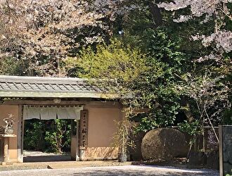 四季の懐石　桜茶屋/有限会社　桜茶屋 求人