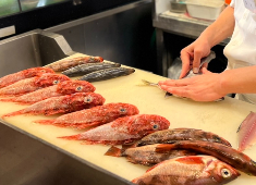 「さかな道楽 亀戸店」他／魚家株式会社 求人 和食全般の幅広い分野が経験できます。珍しい魚を扱うこともできるので、料理人として楽しみながら成長できます◎