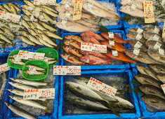 株式会社吉池 求人 当社のキラーコンテンツでもある魚。詳しくなることができる環境があります！