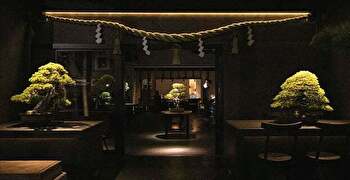 『イマカツ』『belta salone』『OKASHIYA』『松葉屋茶寮』／株式会社グラッシーズ 求人