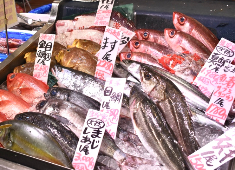 『ヤマト水産』／ヤマトサカナ株式会社　※小売り事業部採用本部 求人 ご経験が浅い方に関しても歓迎！経験や年齢などだけでなく、意欲やお人柄も大切に募集を実施。