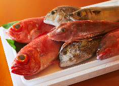 恵比寿 魚竹 求人 熟練の技術を持つベテランの方も積極的に採用します。