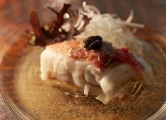 レンゲ エキュリオシティ（Renge equriosity） 求人 